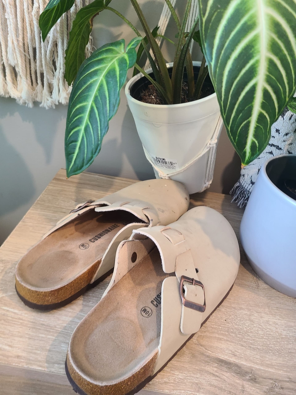 Women’s Neutral Beige Buckle Clog Slip-Ons